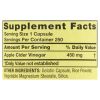 Spring Valley Apple Cider Vinegar Dietary Supplement Value Size, 450 mg, 250 count